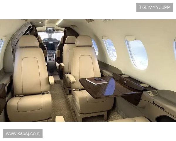 飞机客舱侧壁板的结构阻尼层应用